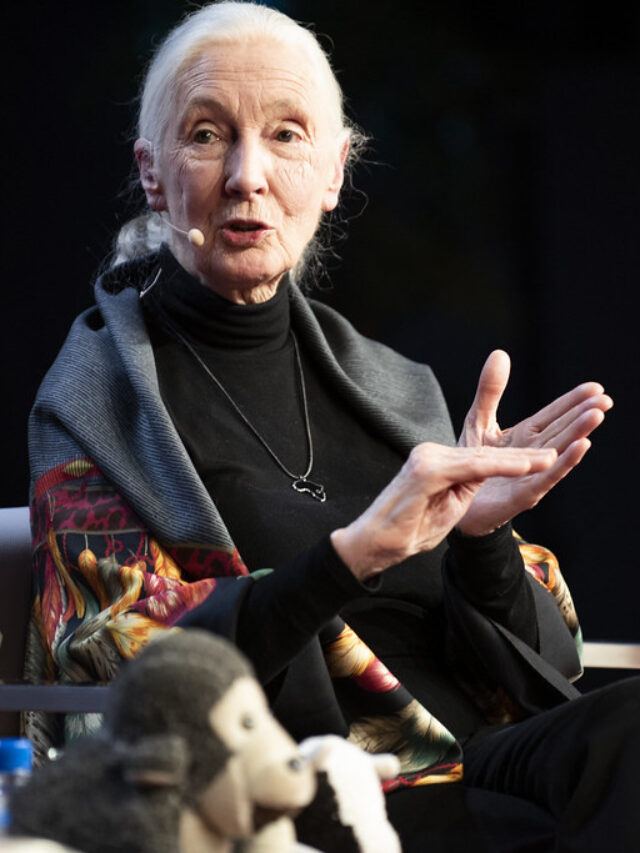 “90 Years of Wisdom: Celebrating Jane Goodall’s Journey